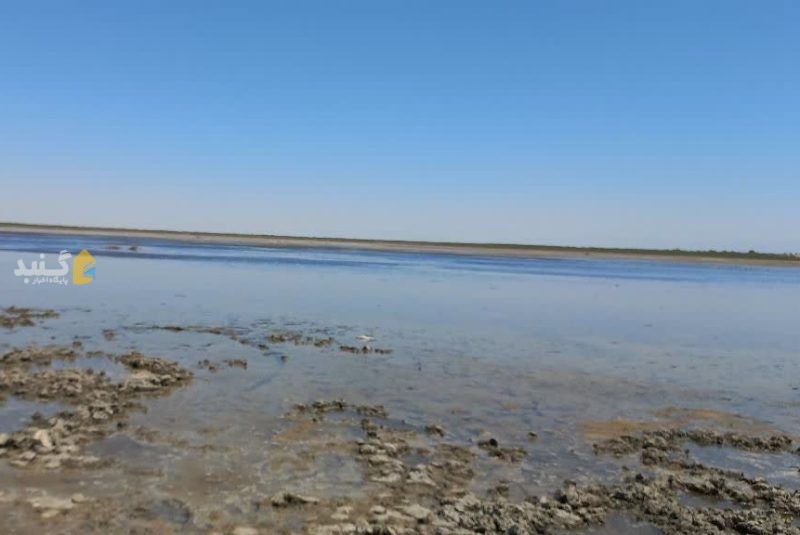آبگیری تالاب‌های بین‌المللی و کم‌آب گنبدکاووس از جریان سیلاب آغاز شد