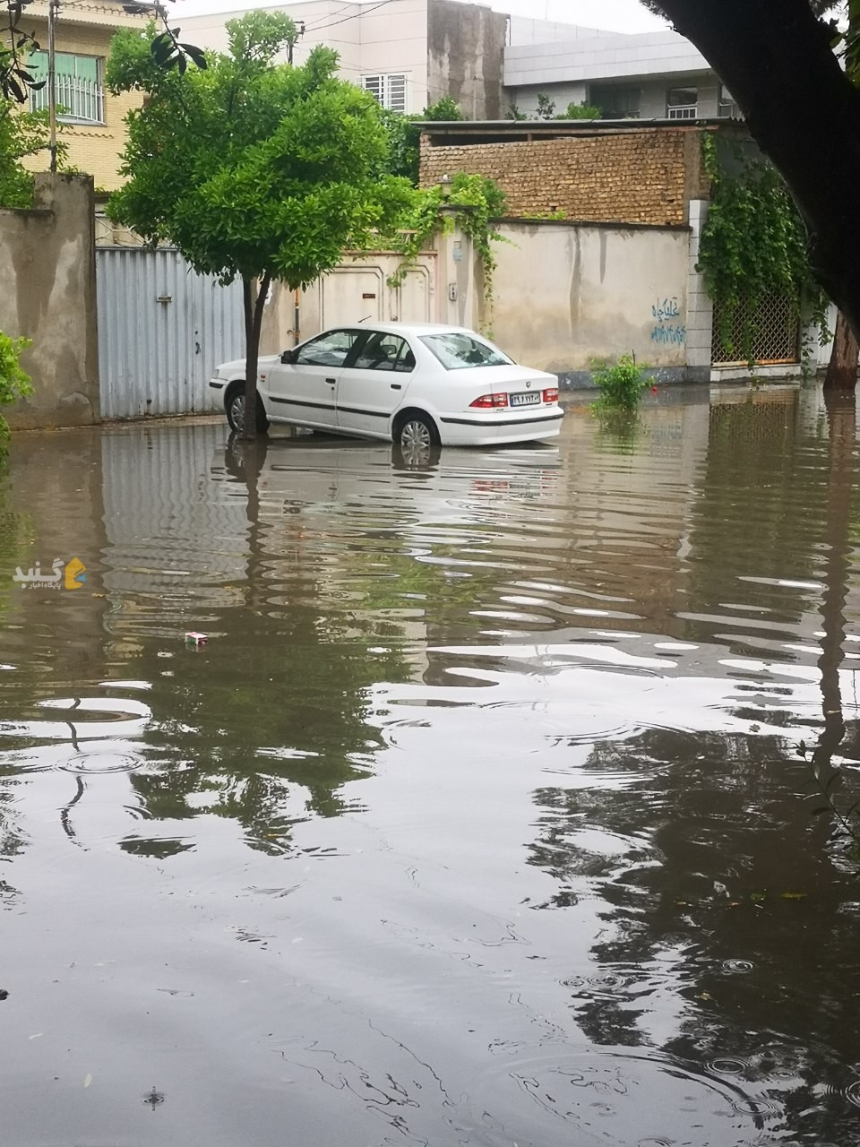 تصاویر آب گرفتگی امروز خیابون نامجو، حدفاصل خرمشهر و 17 شهریور غربی گنبدکاووس