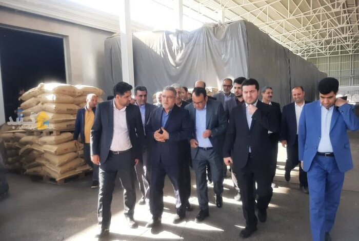 شرکت‌ تعاونی‌های گلستان ۱۰ میلیون دلار کالا صادر کردند