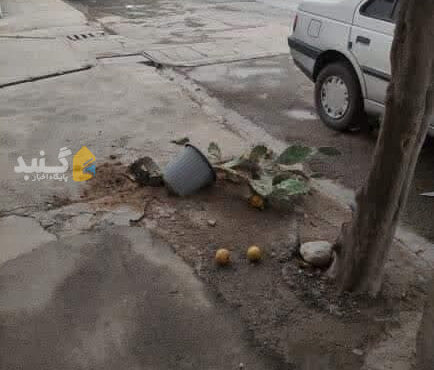 هشدار به همشهریان بابت گلدان های تراس و بالکن ها
