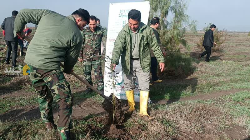 هزار و ۲۰ هکتار عرصه ملی گلستان برای غرس نهال شناسایی شد