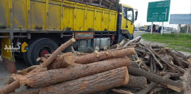 ۳۴۴ پرونده کشف قاچاق چوب جنگلی در گلستان تشکیل شد
