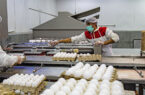 ۱۸ هزار تن تخم‌مرغ و خوراک آبزیان از گنبدکاووس صادر شد