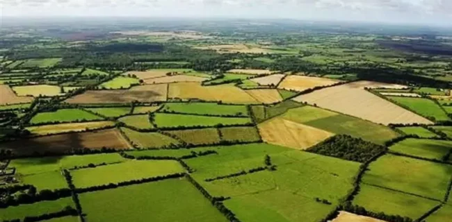حد و مرز نیمی از زمین‌های کشاورزی کشور مشخص شد