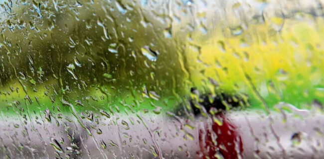 رشد ۱۴۴ درصدی بارش باران در گنبدکاووس