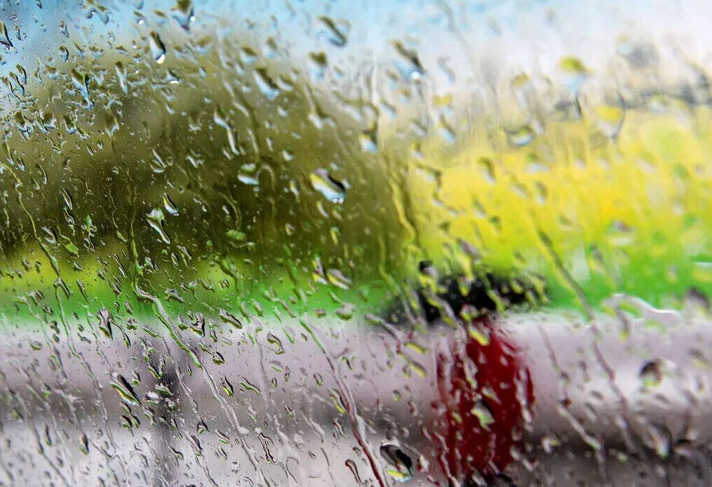 رشد ۱۴۴ درصدی بارش باران در گنبدکاووس