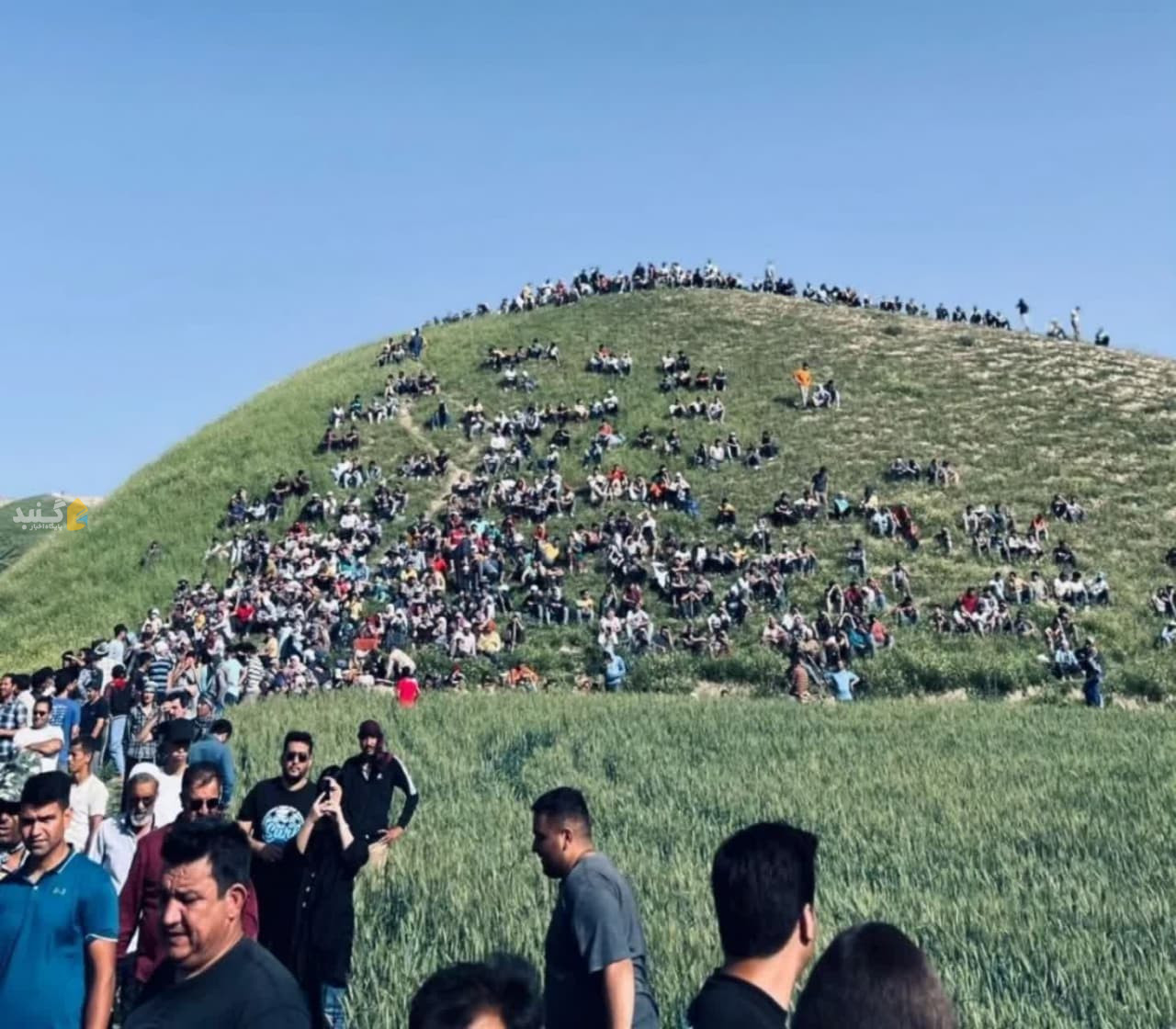توئیت سردبیر پایگاه اخبار گنبد برای یسنا