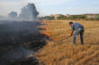 همراهی مردم، چاره کاهش آتش‌سوزی گندم‌زارهای گلستان