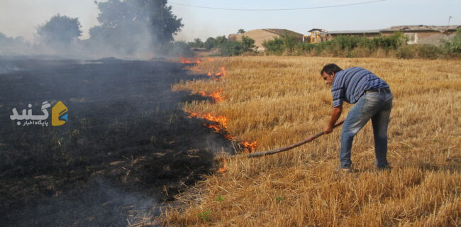 همراهی مردم، چاره کاهش آتش‌سوزی گندم‌زارهای گلستان