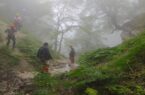 ۱۶ گردشگر تهرانی گم‌شده در مناطق جنگلی مینودشت به محل امن انتقال یافتند