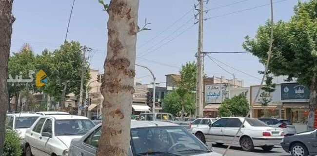 سرقت کابل در خیابان اصلی امام‌خمینی شمالی حوالی تقاطع شریعتی