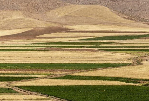 گنبدکاووس پیشرو سنددار کردن زمین‌های کشاورزی در گلستان