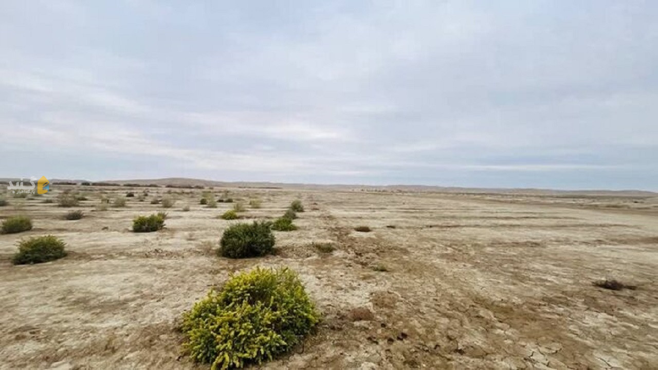 نجات مراتع گلستان از خطر ریزگرد با همکاری مردم