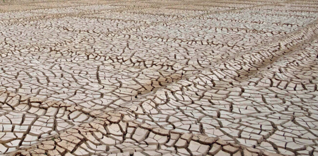 خشکسالی، گنبدکاووس را به چالش کشید