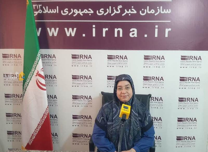 هفت هزار هنرمند، گنبدکاووس را پایتخت صنایع دستی می‌کنند