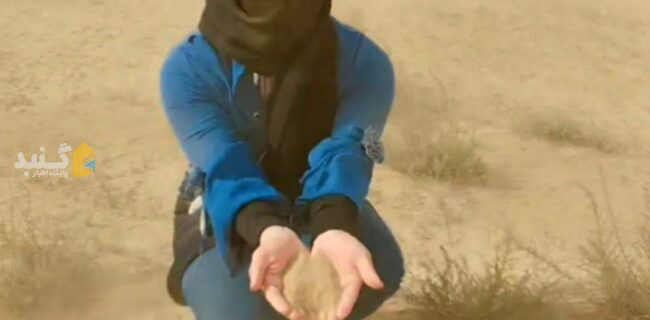 امیدی سبز در بیابان های خشک گنبدکاووس +فیلم