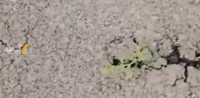 صدای شهروند: شهرداری گنبدکاووس بر روند اجرای آسفالت بیشتر نظارت کند