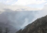 هشدار قضایی در پی افزایش خطر آتش سوزی جنگل های گلستان