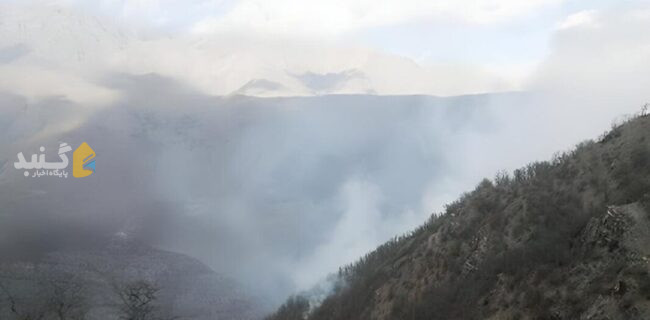 هشدار قضایی در پی افزایش خطر آتش سوزی جنگل های گلستان