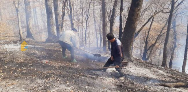 مهار و اطفاء چندآتش سوزی نقطه ای عرصه های منابع طبیعی گلستان مهار و اطفاء چندآتش سوزی نقطه ای عرصه های منابع طبیعی گلستان