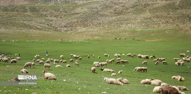 آزادسازی ۳۸۰ هکتار اراضی ملی در گنبدکاووس پس از ۳۰ سال