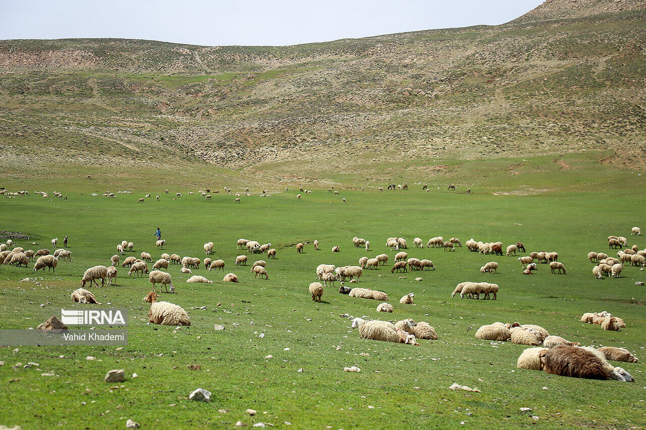 آزادسازی ۳۸۰ هکتار اراضی ملی در گنبدکاووس پس از ۳۰ سال
