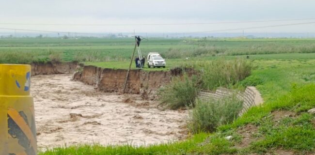 اینبار فقط میخواهم تشکر کنم و بگویم خداقوت