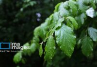 افزایش ۵۳ درصدی بارندگی‌ها در گلستان